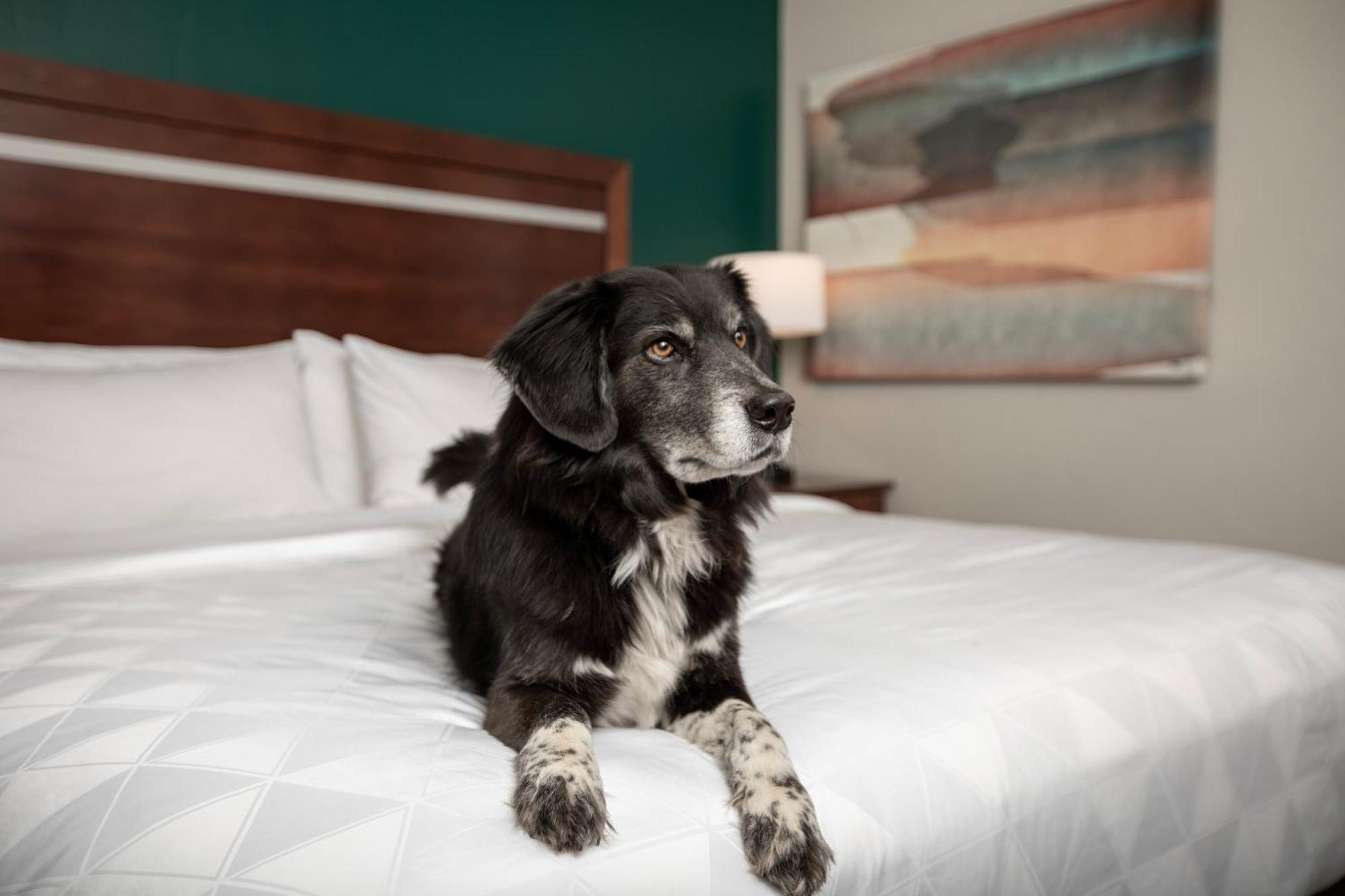 Holiday Inn & Suites Durango Downtown By Ihg Екстериор снимка